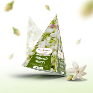 Incense Cones