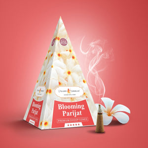 Incense Cones