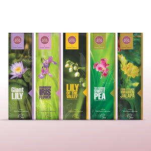 Incense Sticks